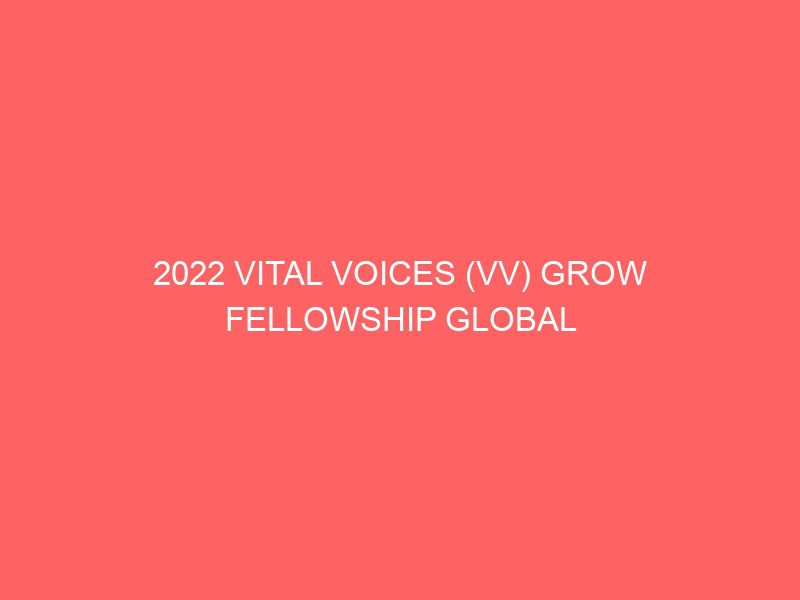 2022 vital voices vv grow fellowship global accelerator program for female entrepreneurs scholarships available 48321