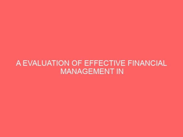 a evaluation of effective financial management in a computerized accounting system 58216