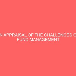 an appraisal of the challenges of fund management in the nigeria local government system 65605