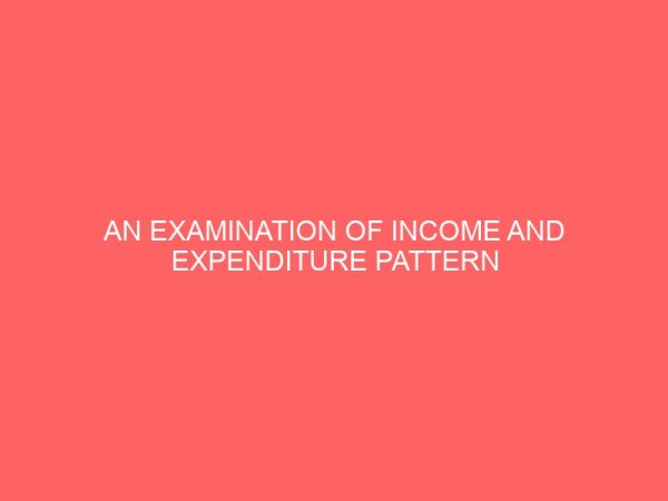 an examination of income and expenditure pattern 61216
