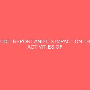 audit report and its impact on the activities of business organisation in nigeria 59835