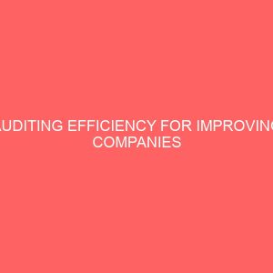 auditing efficiency for improving companies performances 59836