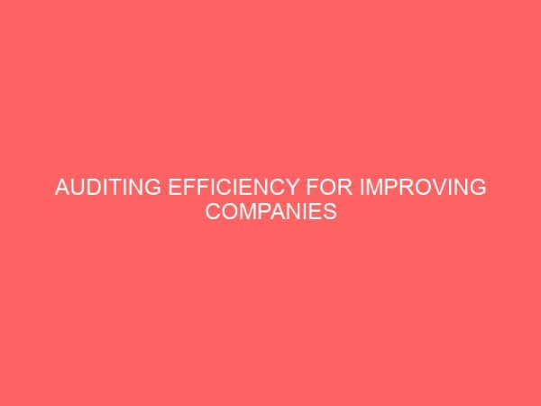 auditing efficiency for improving companies performances 59836