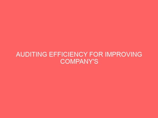 auditing efficiency for improving companys performance 59227