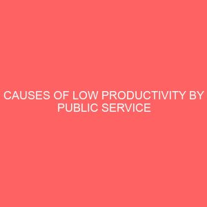 causes of low productivity by public service workers a case study of the national electric power authority 52182