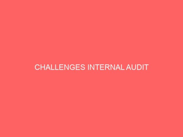 challenges internal audit 61020