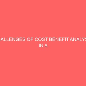 challenges of cost benefit analysis in a computerized accounting system 58354