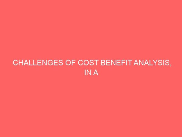 challenges of cost benefit analysis in a computerized accounting system 58354
