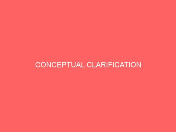 conceptual clarification 81089