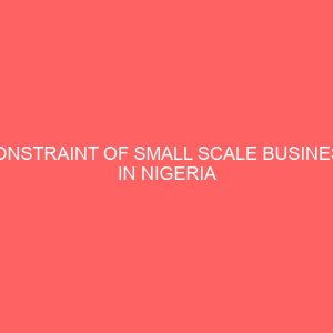 constraint of small scale business in nigeria 47101