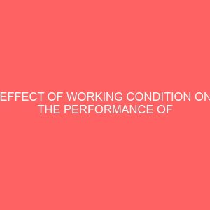 effect of working condition on the performance of secretaries in an organization a survey study of some selected organization in kaduna metropolis 63597