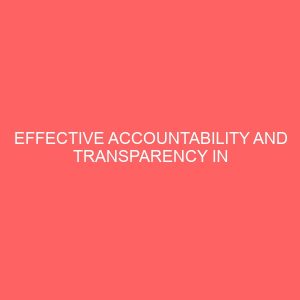 effective accountability and transparency in financial management in local government 65554