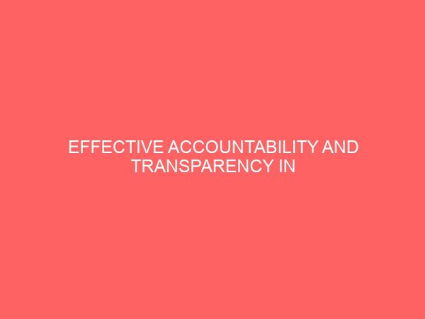 effective accountability and transparency in financial management in local government 65554