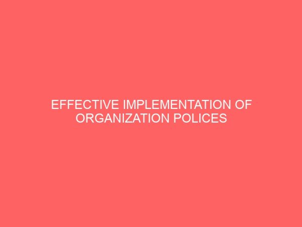 effective implementation of organization polices and producers in nigeria business 59803