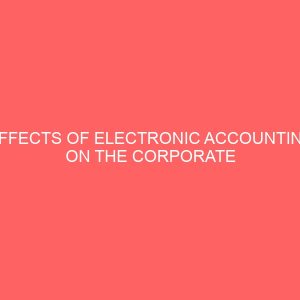 effects of electronic accounting on the corporate performance of organizations 61863