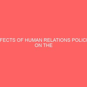 effects of human relations policies on the performance of secretaries a case study of emenite plc and amah breweries ngwo 63200