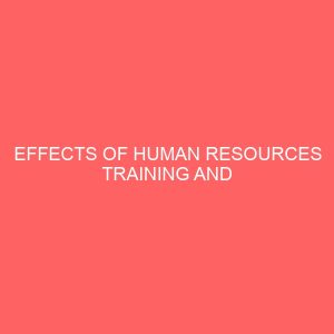 effects of human resources training and development on workers productivity a case study of union bank of nigeria plc enugu main branch 63602