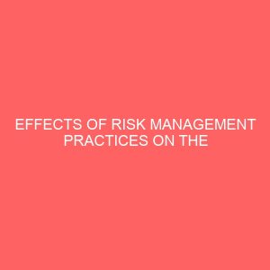 effects of risk management practices on the performance of insurance companies in nigeria 2 80638