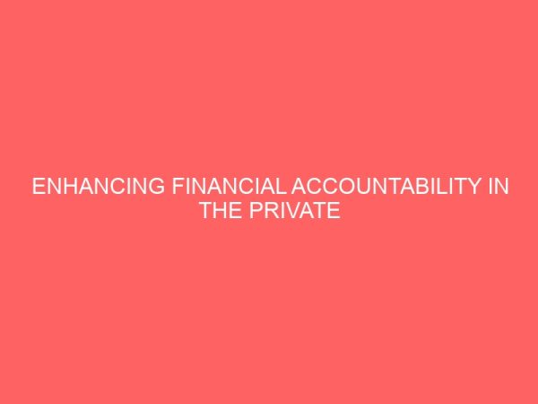 enhancing financial accountability in the private sector 61233