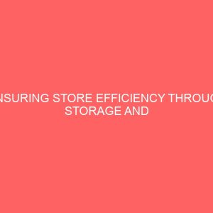 ensuring store efficiency through storage and materials handling in an organization 3 38133