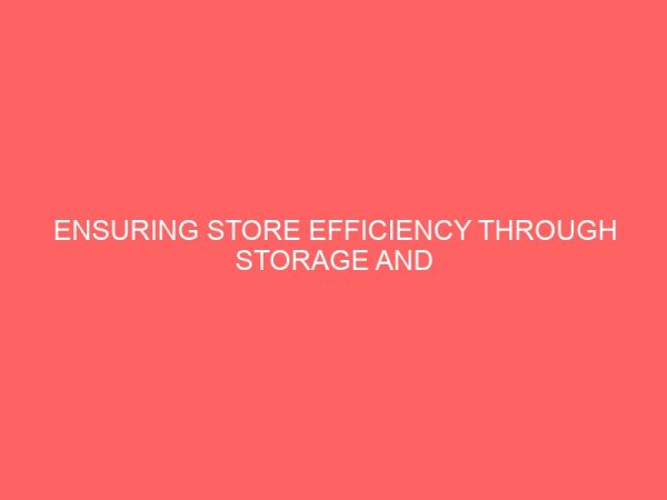 ensuring store efficiency through storage and materials handling in an organization 3 38133