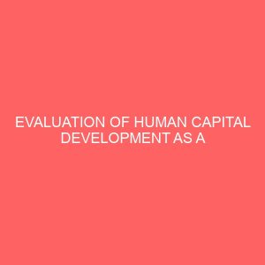 evaluation of human capital development as a strategy for increasing productivity in public organizations in nigeria 83596