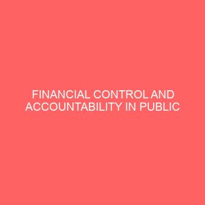 financial control and accountability in public sector organisation 56007