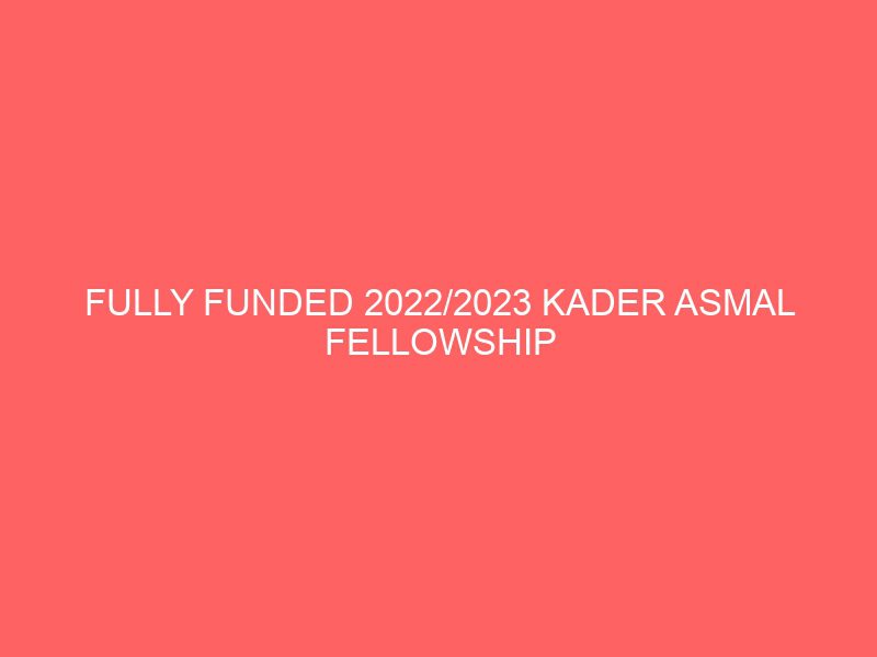 fully funded 2022 2023 kader asmal fellowship programme for postgraduate study in ireland 46266