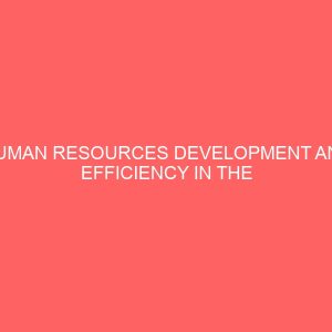human resources development and efficiency in the public sector 83634