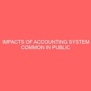 impacts of accounting system common in public sector 2 56666