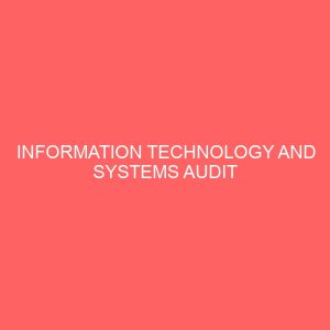 information technology and systems audit 55319