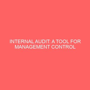 internal audit a tool for management control 60259