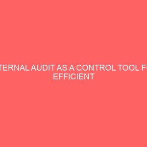 internal audit as a control tool for efficient management in nigerian public enterprises 57661