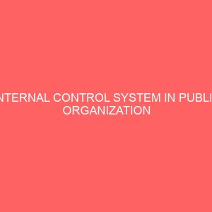internal control system in public organization 61400