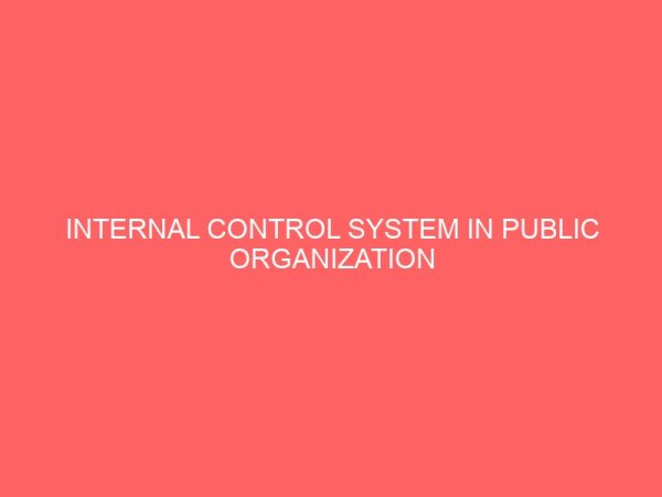 internal control system in public organization 61400
