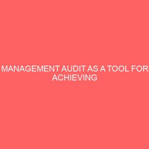 management audit as a tool for achieving organization objective 60307