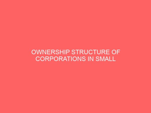 ownership structure of corporations in small scale enterprise in nigeria 56353