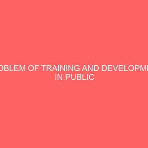 problem of training and development in public sector organisation 56311