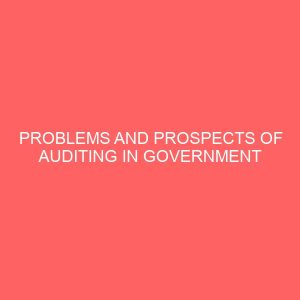 problems and prospects of auditing in government organization 2 58142