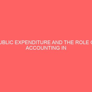 public expenditure and the role of accounting in the control of in nigeria 56442