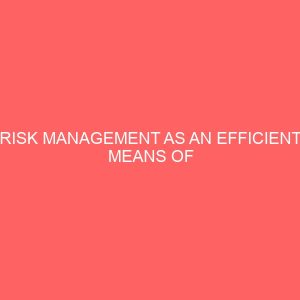 risk management as an efficient means of achieving corporate objectives 80005