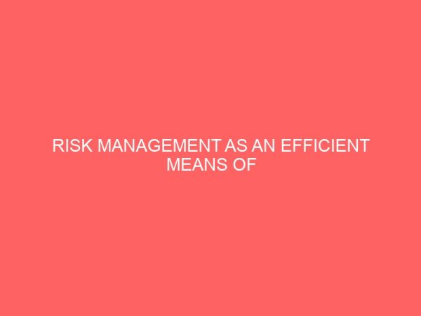 risk management as an efficient means of achieving corporate objectives 80005