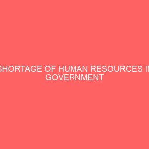 shortage of human resources in government establishment problems and solutions 84263