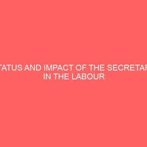 status and impact of the secretary in the labour market a case study of some selected organizations in enugu north local government of enugu state 63409