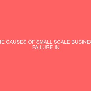 the causes of small scale business failure in nigeria 2 56770