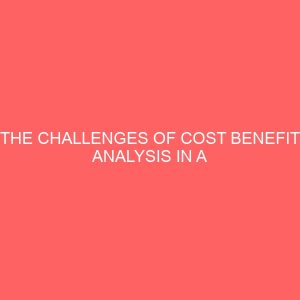 the challenges of cost benefit analysis in a computerized accounting system 59559