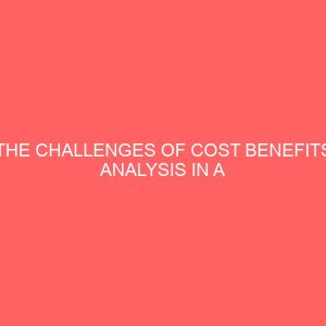 the challenges of cost benefits analysis in a computerized accounting system 61314
