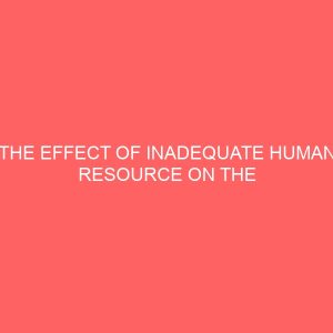 the effect of inadequate human resource on the performance of government establishments 83982