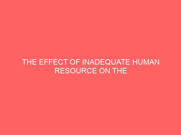 the effect of inadequate human resource on the performance of government establishments 83982