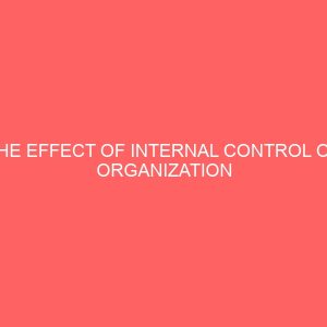 the effect of internal control on organization performance of local government 59894